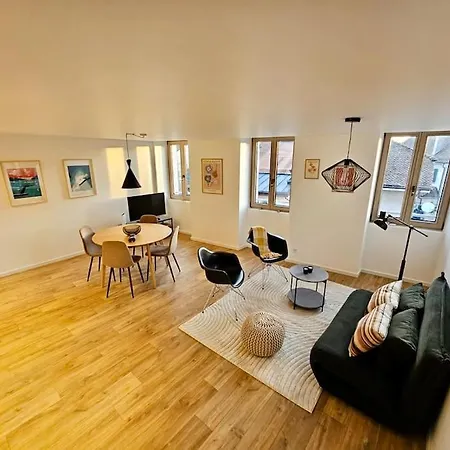 Apartment Walking Steps From Geneva *