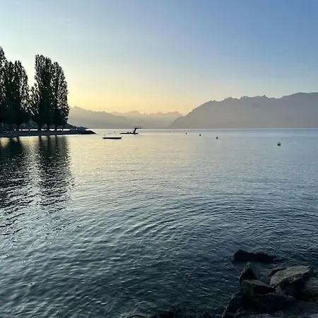 Walking Steps From Geneva *