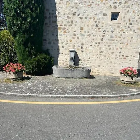 Walking Steps From Geneva Daire *